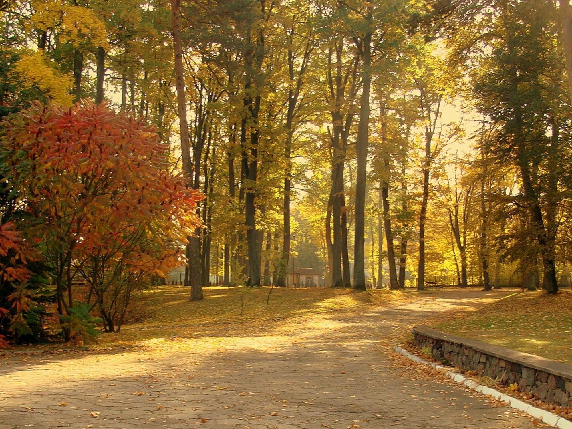 Отель Lesna Przystan Илава Экстерьер фото